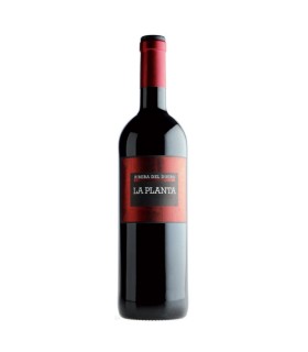 La Planta 2021 I Ribera del Duero