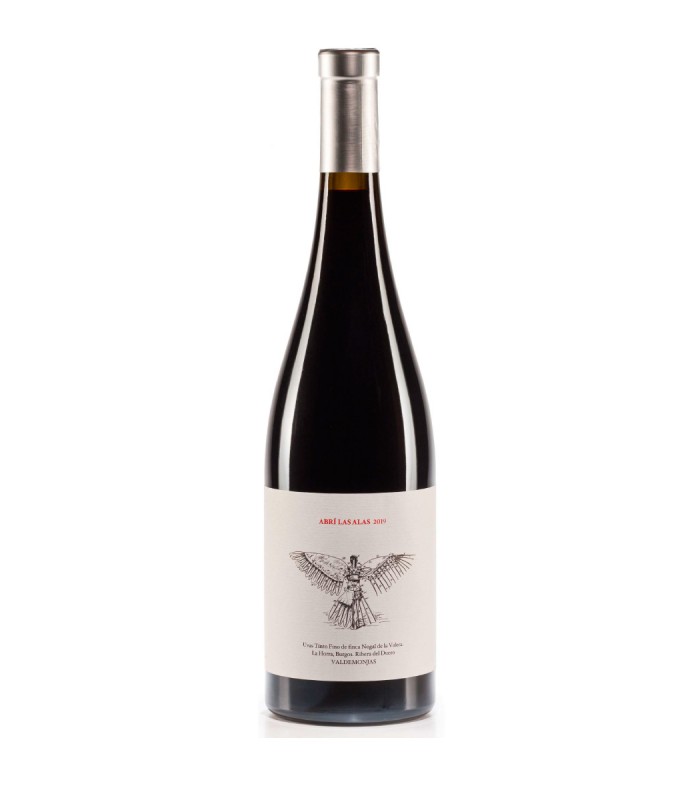 Abrí las Alas 2019