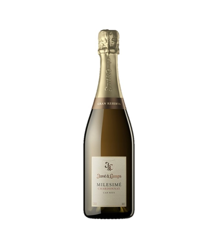 Juvé & Camps Milesimé Chardonnay Reserve Brut 2018