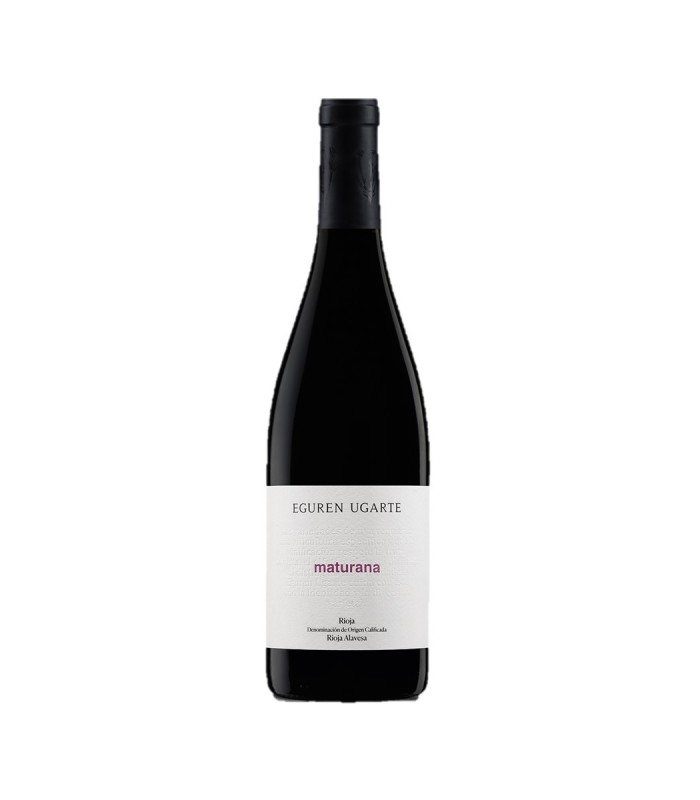 Eguren Ugarte Maturana 2019