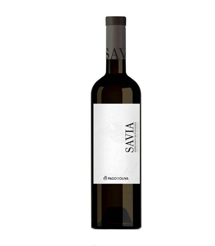 Savia 2019 Magnum