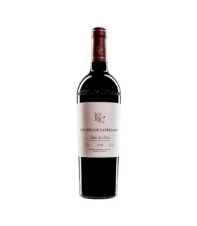 Comprar vino VEGA DE LA REINA RUEDA BLANCO 2005