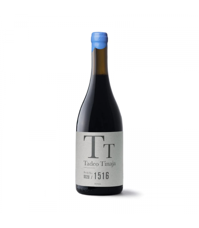 Tadeo Tinaja 2021