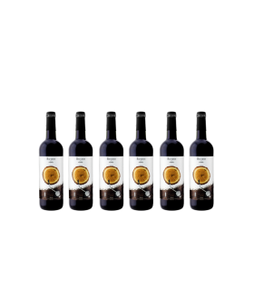 Oferta Ruido Crianza X 6 BOTELLAS