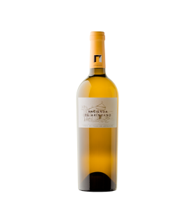 Hacienda Arínzano 2018 Magnum