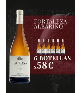 Oferta Fortaleza Albariño x 6 Botellas.