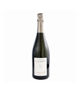 ETIENNE SANDRIN A TRAVERS CELLES EXTRA BRUT 2021
