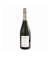 ETIENNE SANDRIN MOUILLE-BRANT EXTRA BRUT 2020