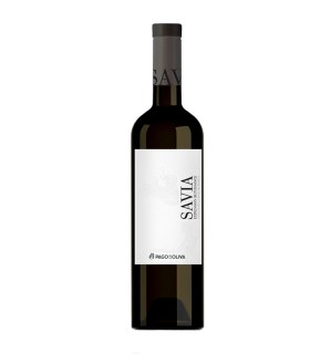 Savia 2020
