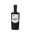 PISCO SARCAY 05 HOMENAJE DE M.V. 42º