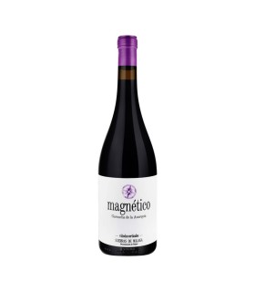 MAGNETICO 2022