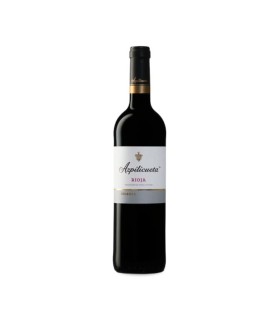 AZPILICUETA CRIANZA 2021
