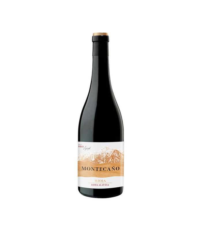 MONTECAÑO 2021