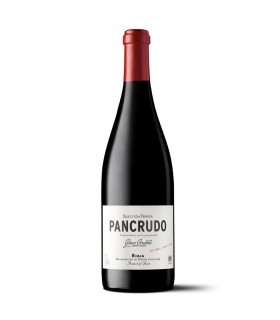 Pancrudo 2019