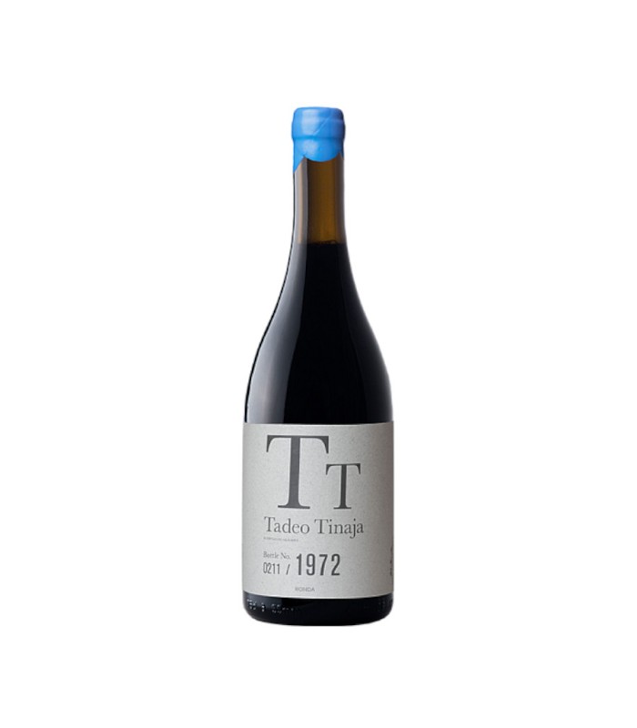 TADEO TINAJA 2023