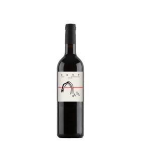 SENY TINTO 2024