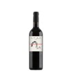 SENY TINTO 2024