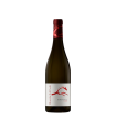 BARBAZUL TINTO 2023
