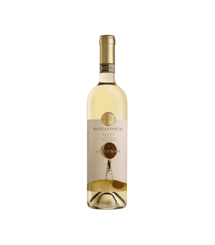 GAVI DI GAVI MAGDA PEDRINI 2024