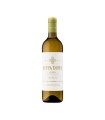 RIPPA DORII VERDEJO Magnum 2025