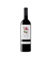 CAMINS DEL PRIORAT 2024