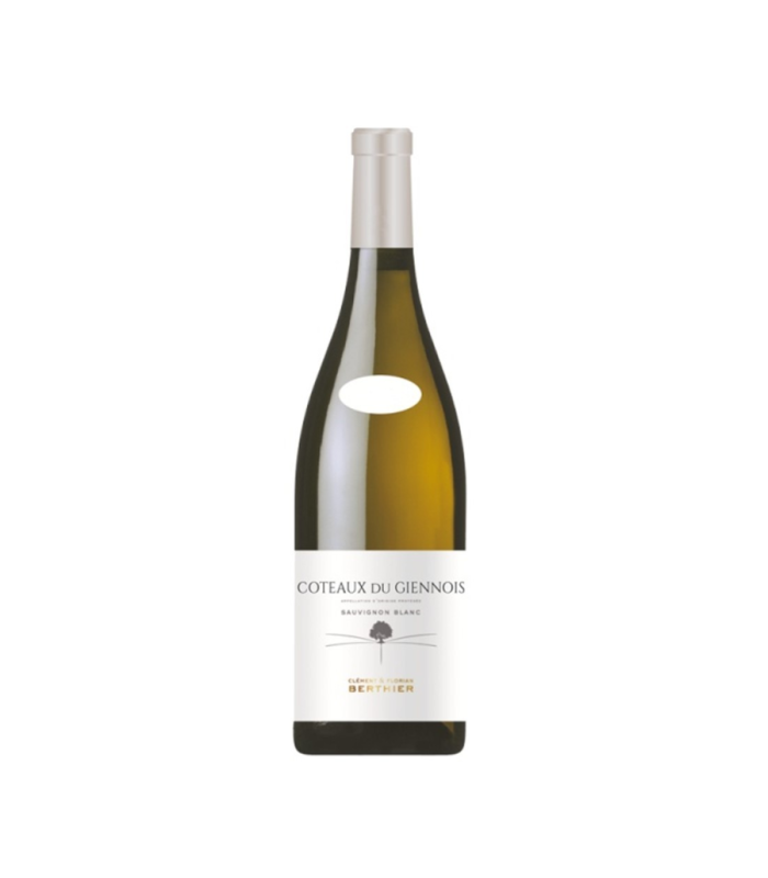 Coteaux Du Giennois Sauvignon Blanc Berthier 2023 Bio