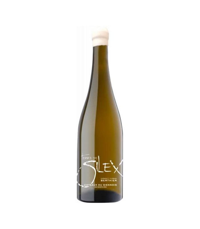 C. Du Giennois Terre De Silex Berthier