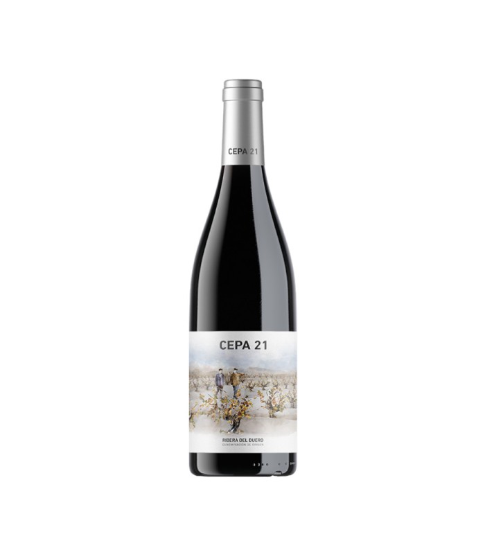 CEPA 21 2023