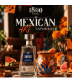 29 th october MEXICAN ART EXPERIENCE